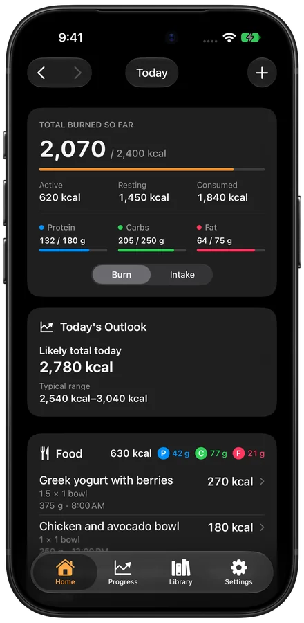 Calorimeter daily calorie burn and food summary on iPhone